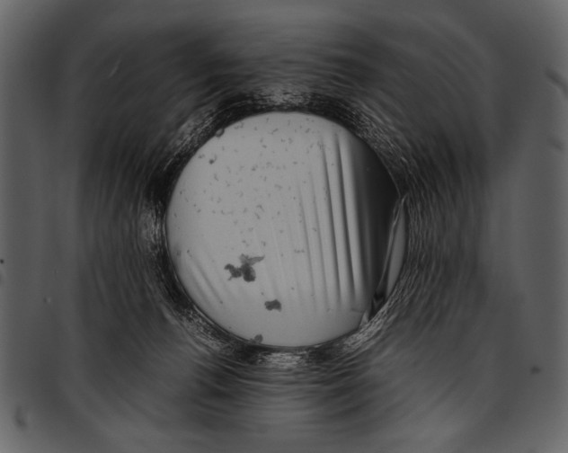 X0000097480176200803201517