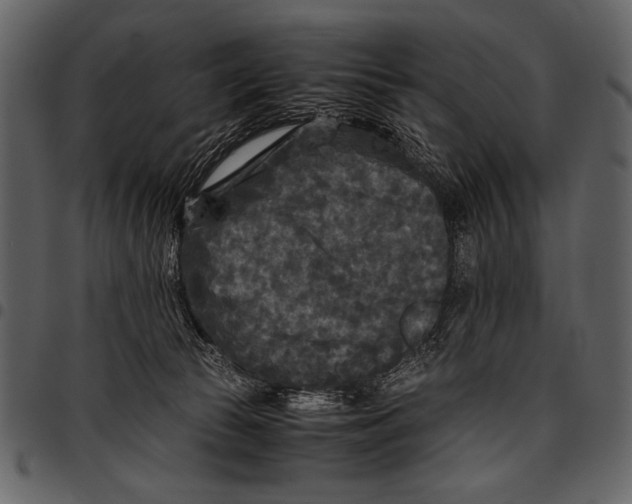 X0000097480177200803201517