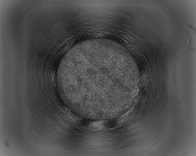 X0000097480178200803201517