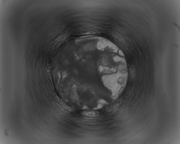 X0000097480181200803201517