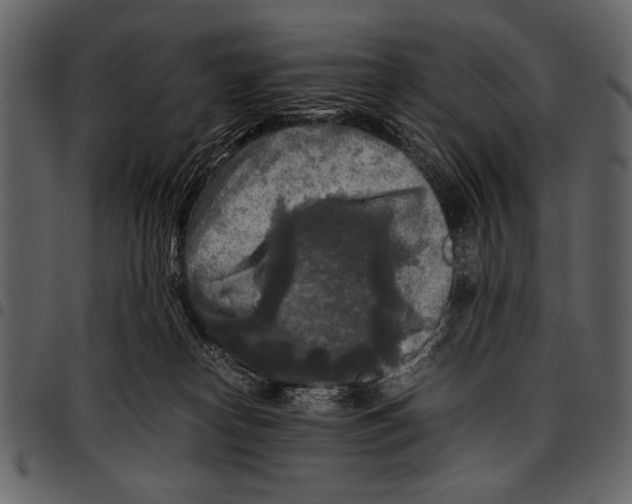 X0000097480182200803201517