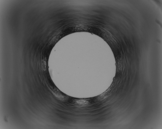 X0000097480183200803201517