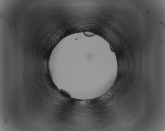 X0000097480184200803201517