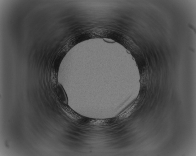 X0000097480186200803201517