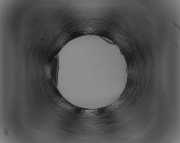 X0000097480188200803201517