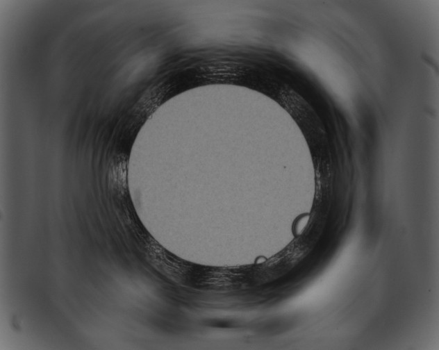 X0000097480190200803201517