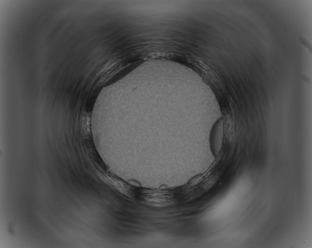 X0000097480191200803201517