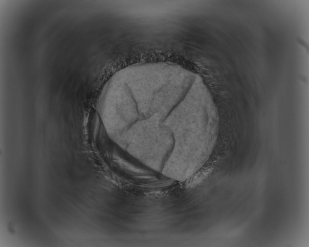 X0000097480192200803201517