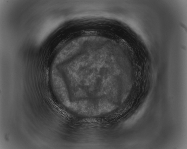 X0000097480194200803201516