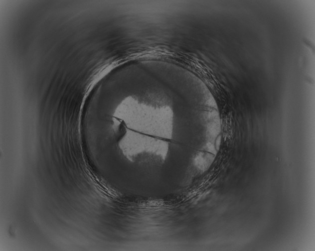 X0000097480196200803201516