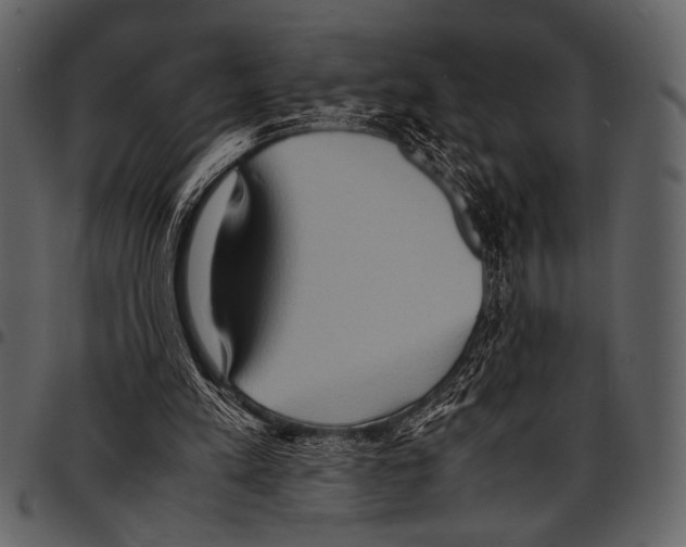 X0000097480197200803201516