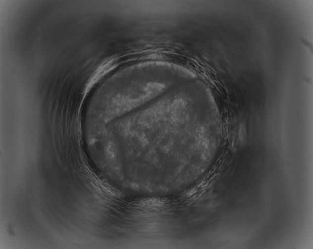 X0000097480198200803201516