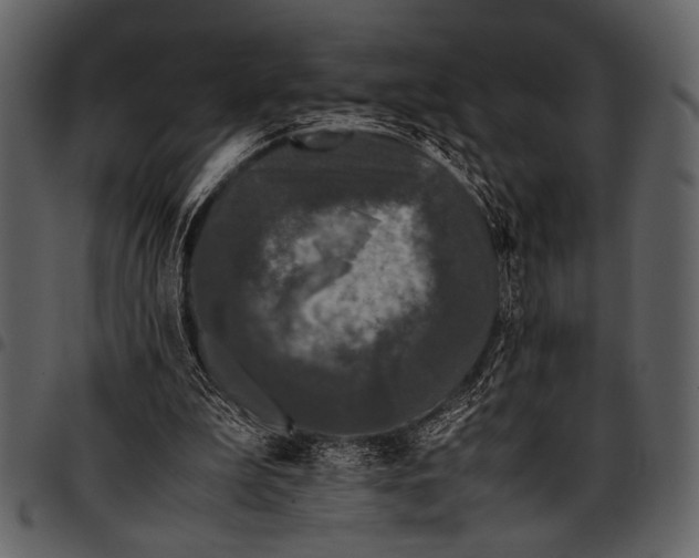 X0000097480199200803201516