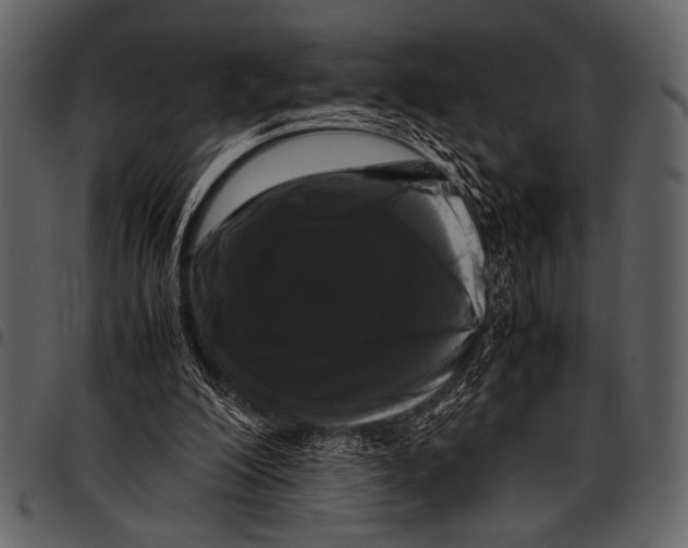 X0000097480200200803201516