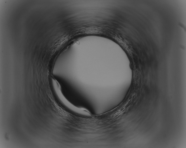 X0000097480201200803201516