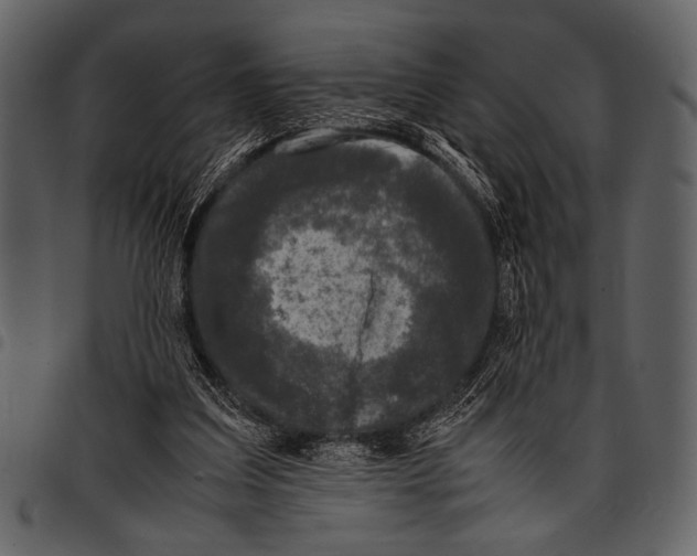 X0000097480203200803201516