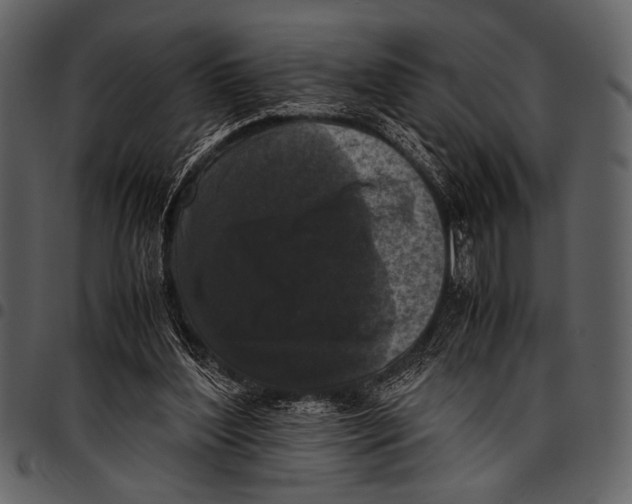 X0000097480204200803201516