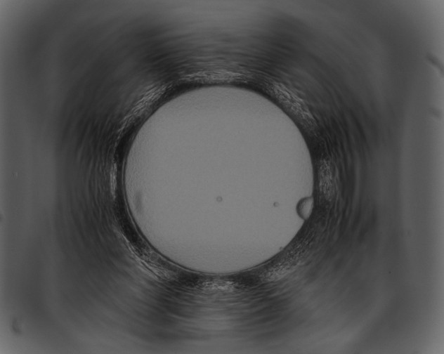 X0000097480206200803201516