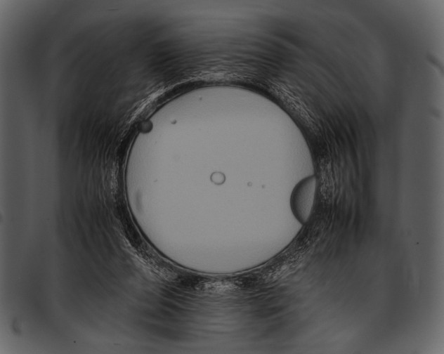 X0000097480208200803201516