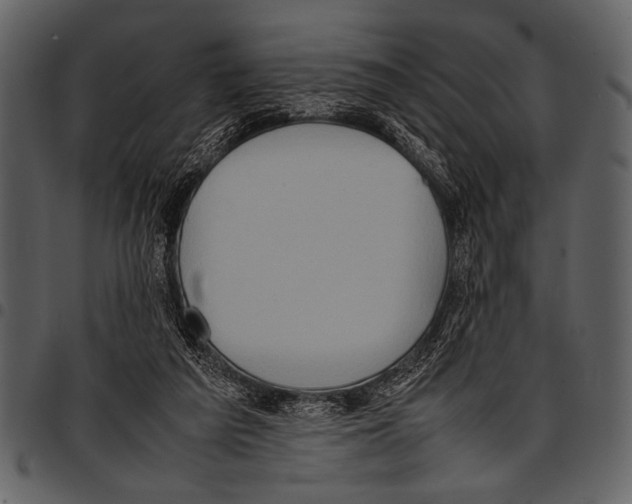 X0000097480209200803201516