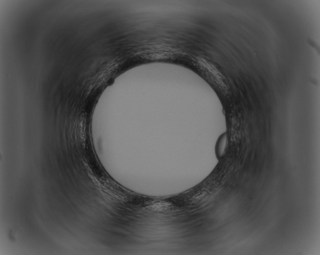 X0000097480210200803201516