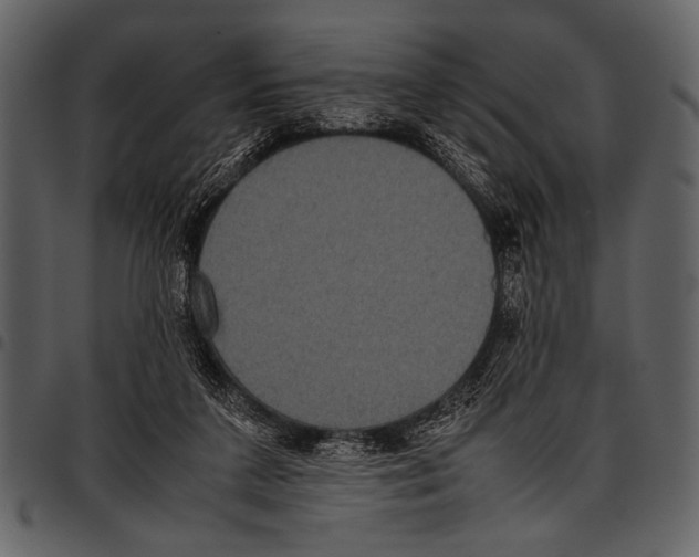 X0000097480211200803201516