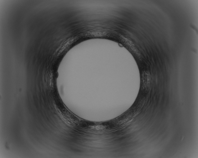 X0000097480212200803201516