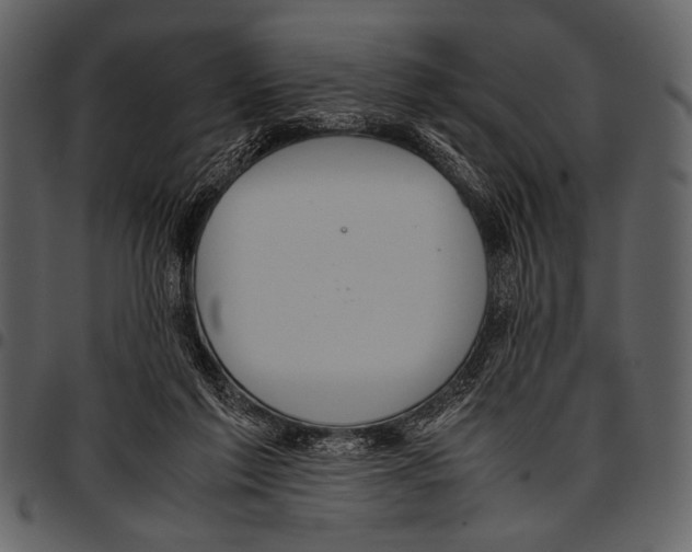 X0000097480213200803201516