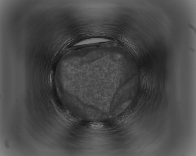 X0000097480214200803201516