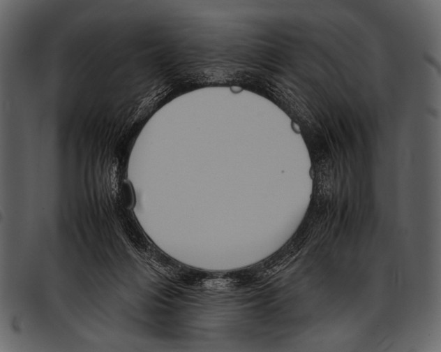 X0000097480216200803201516