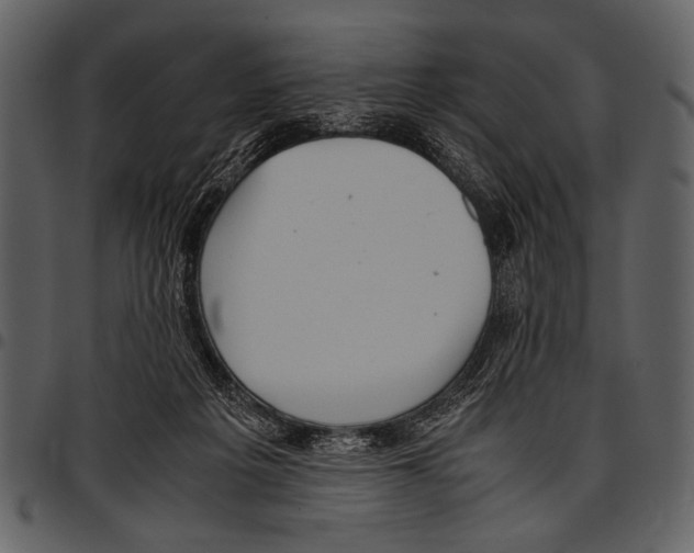 X0000097480217200803201516