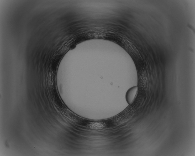 X0000097480218200803201516