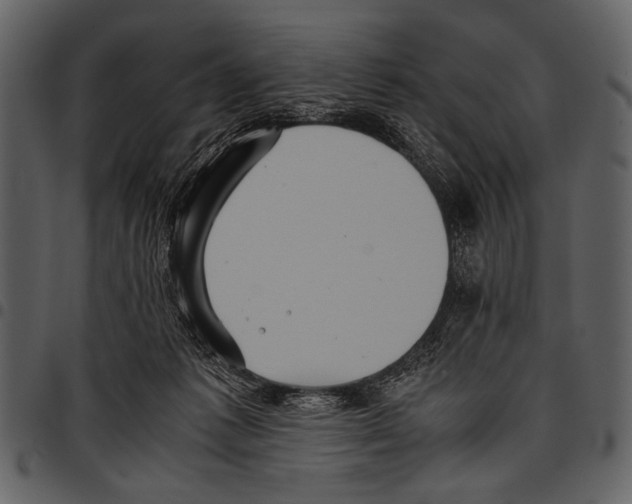 X0000097480221200803201516