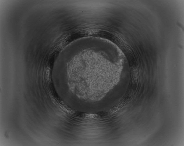 X0000097480222200803201516