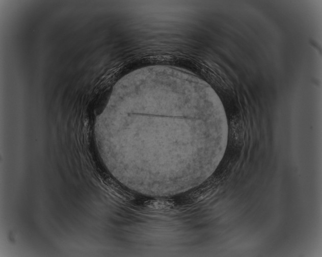 X0000097480223200803201516