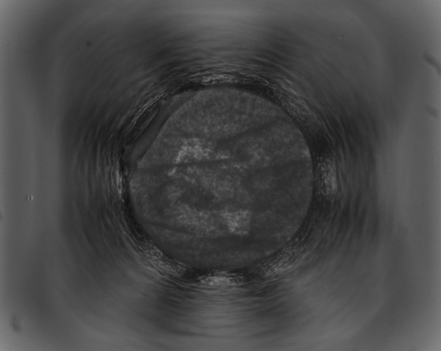 X0000097480224200803201516