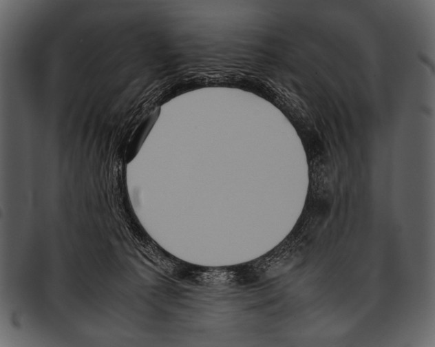 X0000097480225200803201516