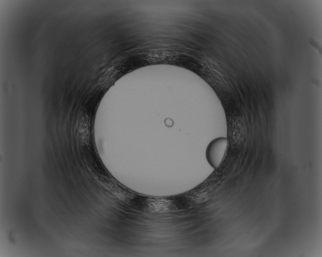 X0000097480226200803201516