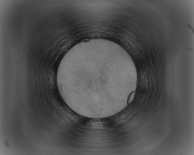 X0000097480228200803201516