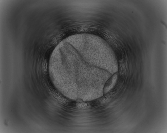 X0000097480230200803201516