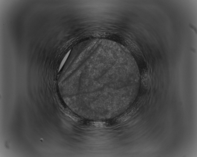 X0000097480233200803201516