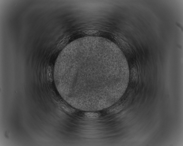 X0000097480234200803201516