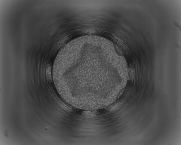 X0000097480238200803201516