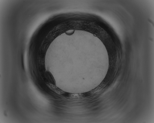 X0000097480239200803201516