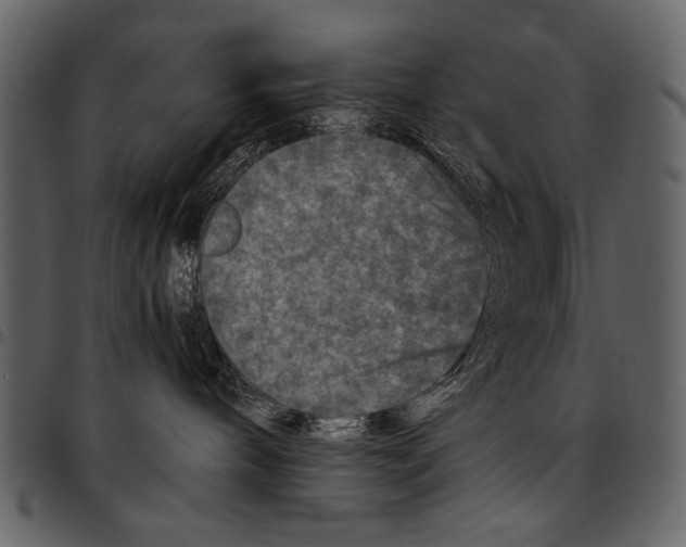 X0000097480240200803201516