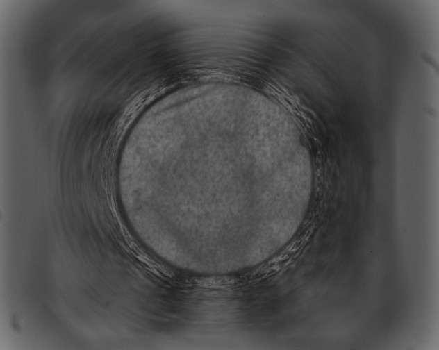 X0000097480241200803201515