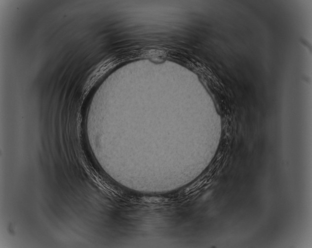 X0000097480242200803201515