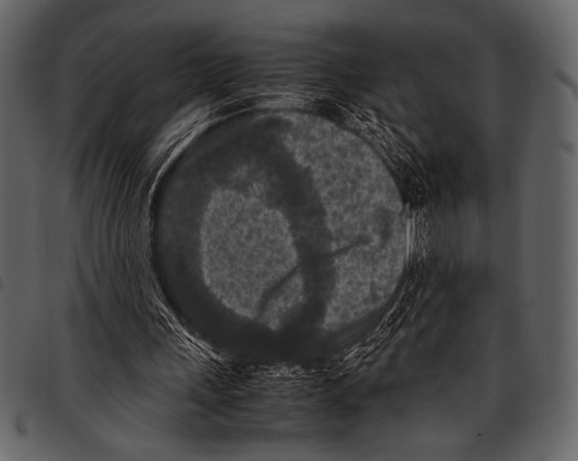 X0000097480243200803201515