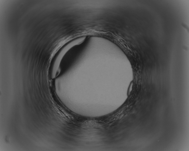 X0000097480244200803201515