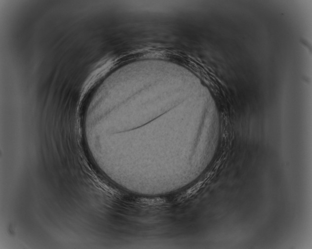 X0000097480245200803201515